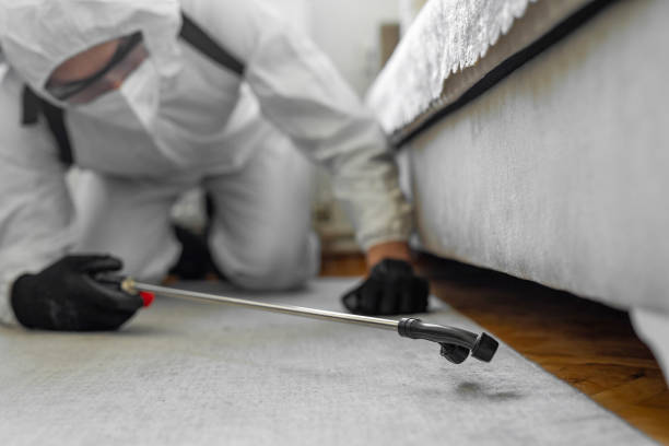 Professional Termite Control technician working in Clifton, TX